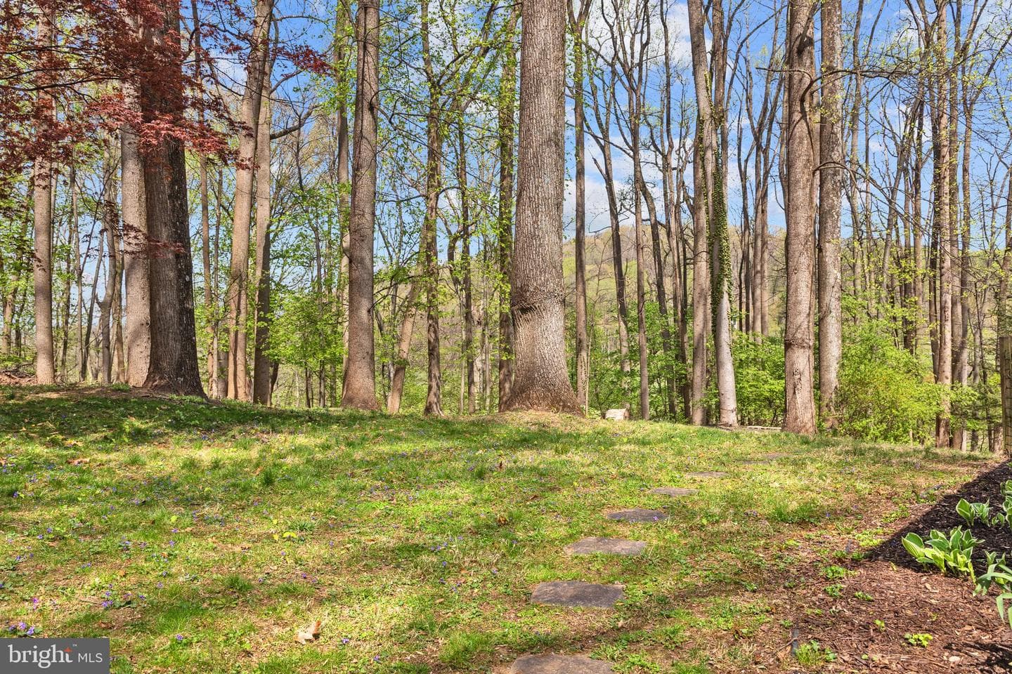 912 Heather Lane photo 32