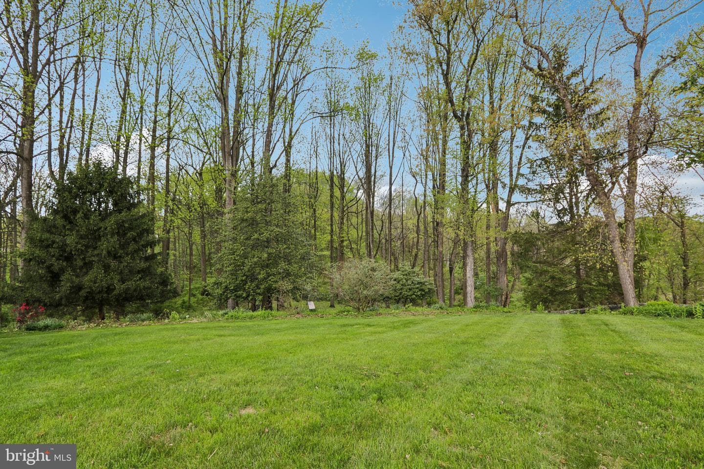219 Wiltshire Drive photo 58