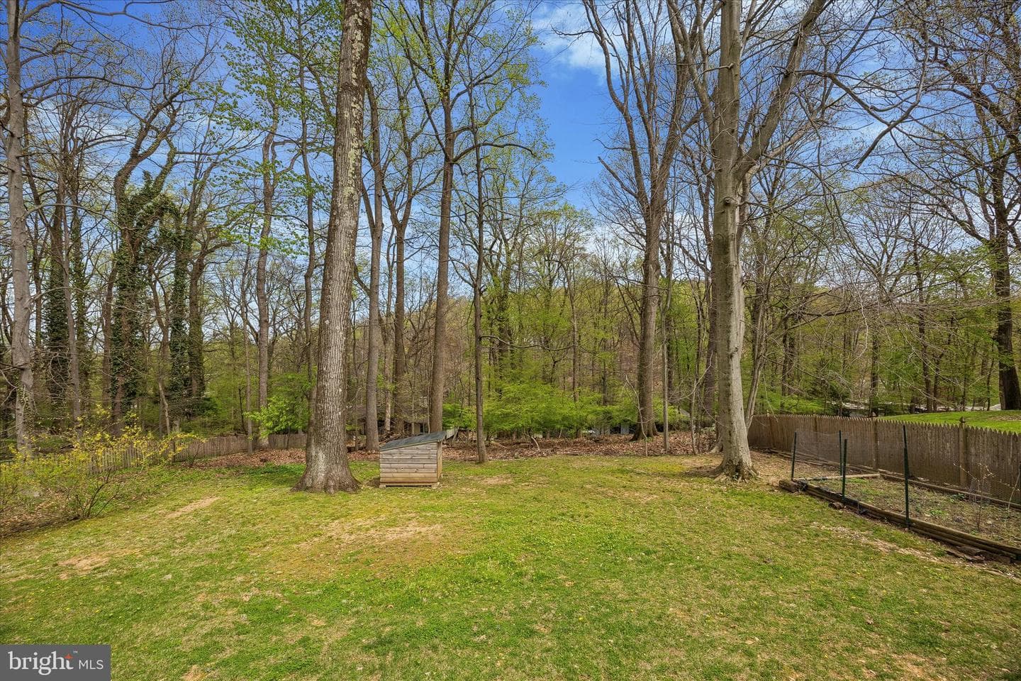 699 W Valley Road photo 5