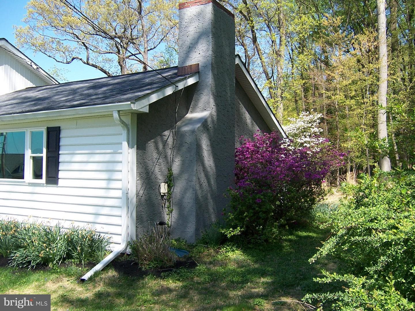 29 Cypress Lane photo 9