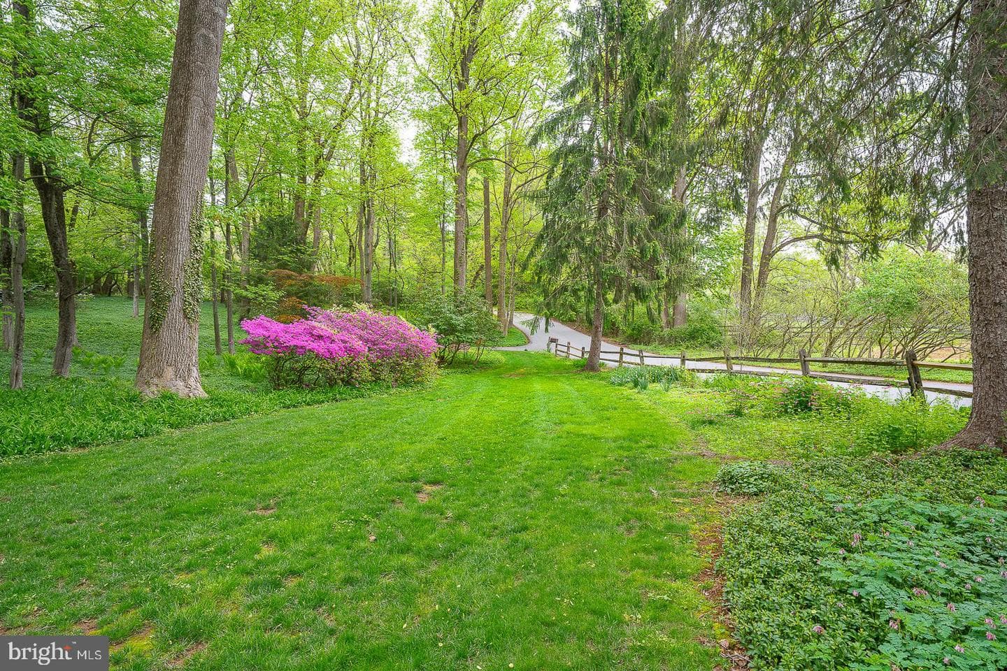 6 Quarterwood Road photo 49