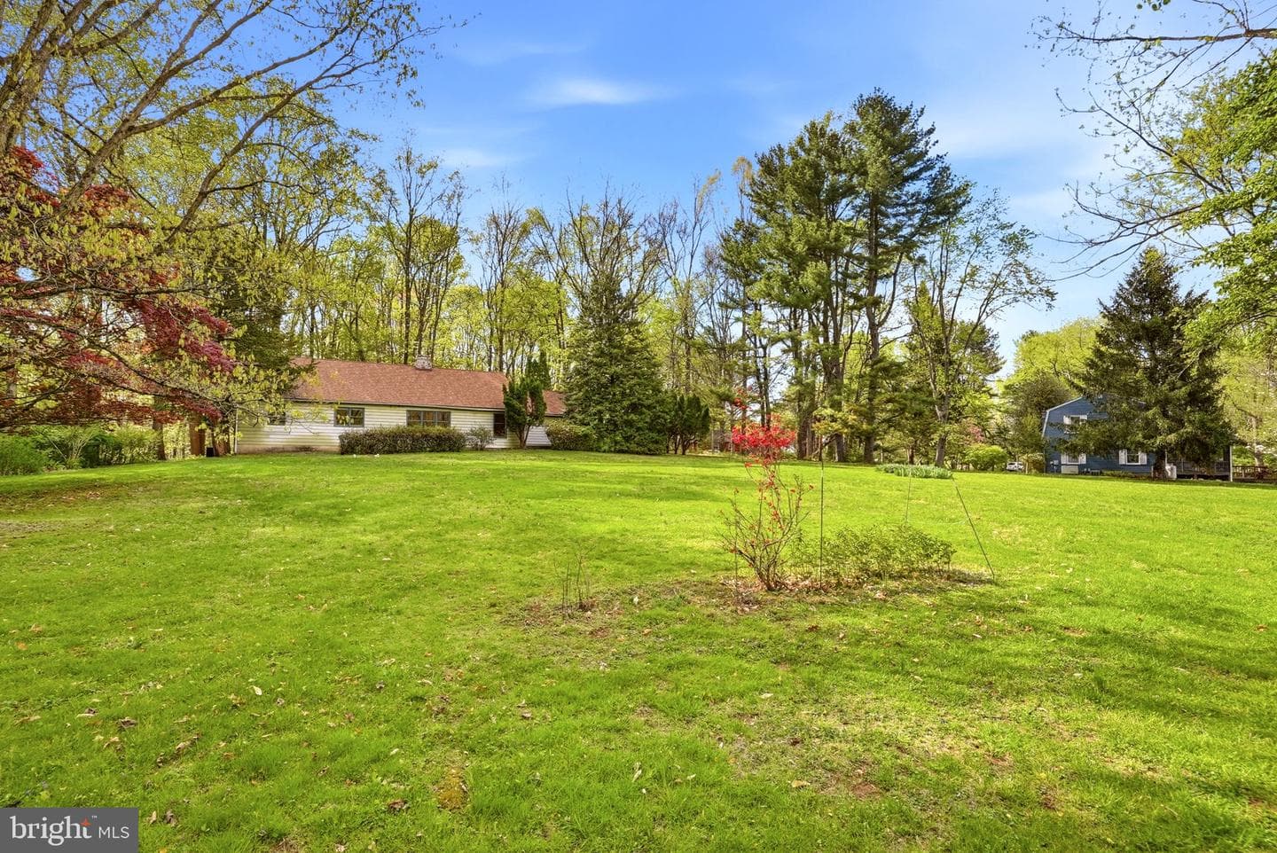 731 Brintons Wood Road photo 56
