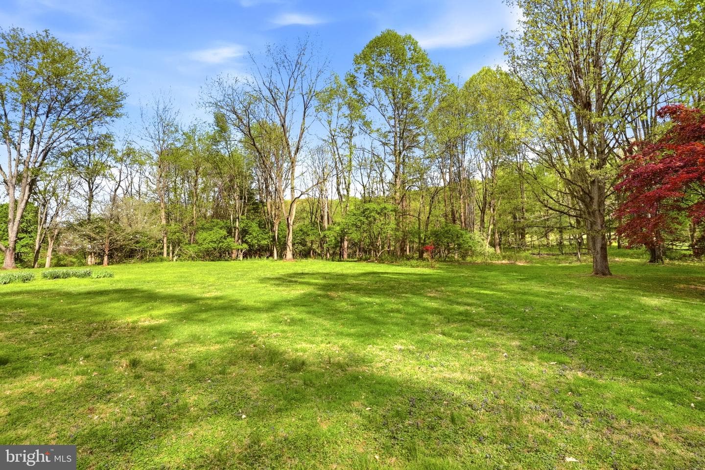 731 Brintons Wood Road photo 61