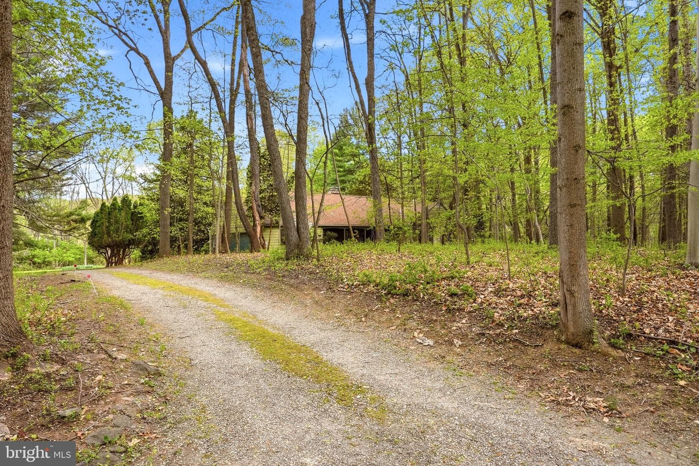 731 Brintons Wood Road photo 63