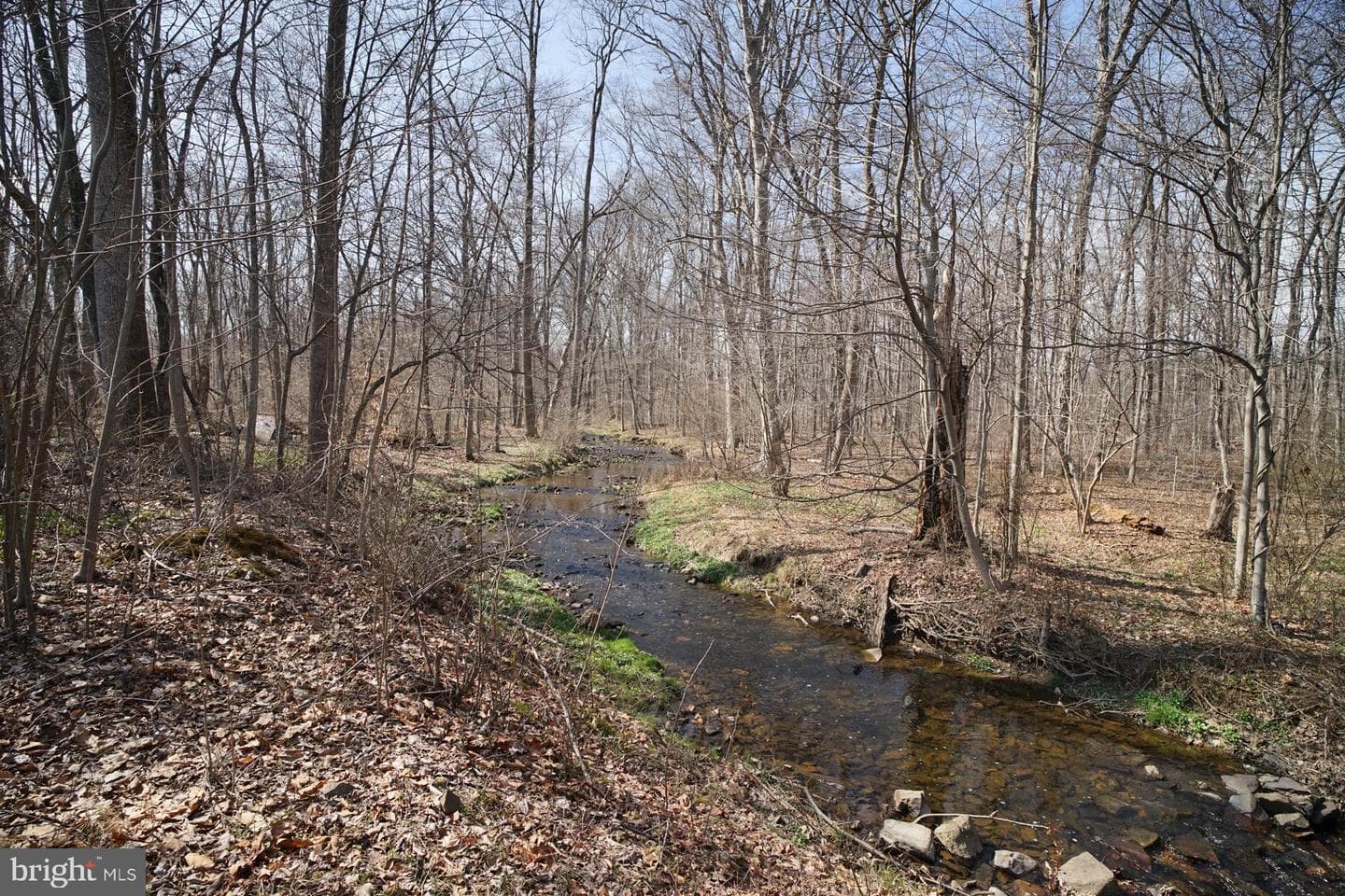 279 Lafayette Road photo 11