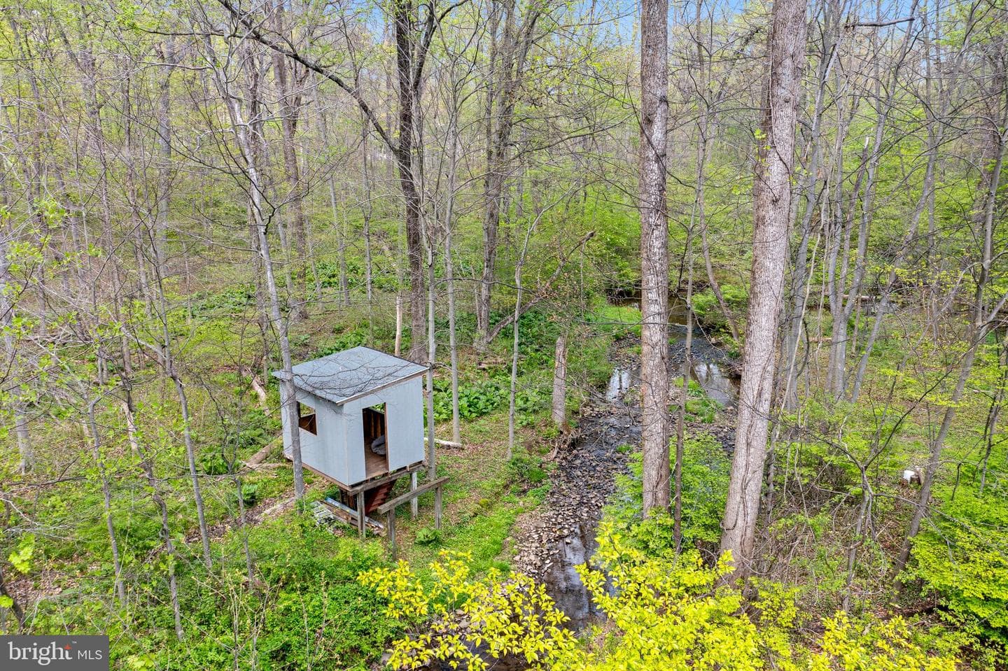 279 Lafayette Road photo 9