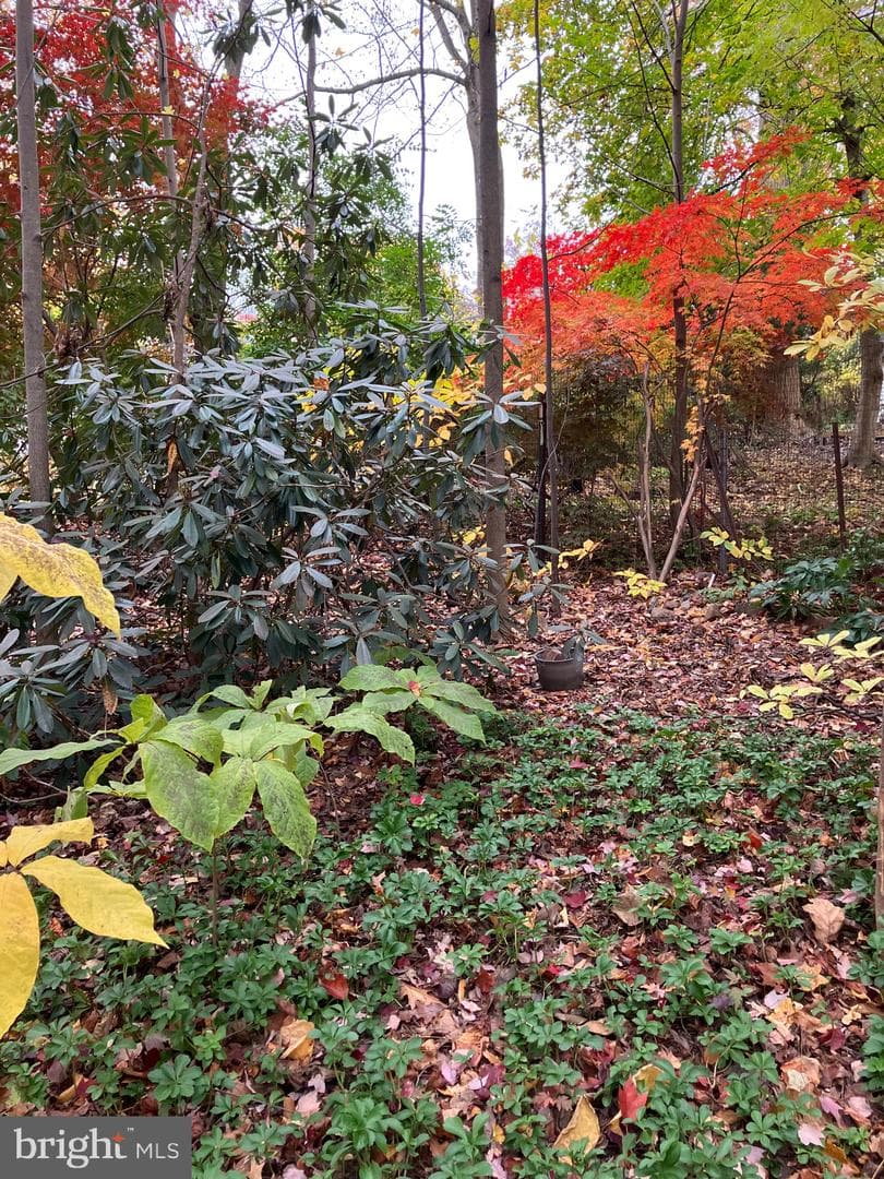 1154 Sylvan Road photo 43