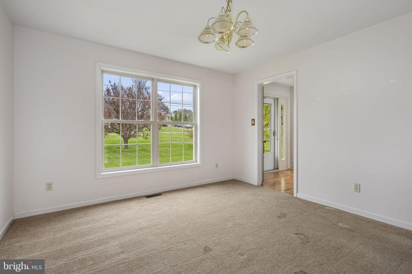 138 Bethel Road photo 17