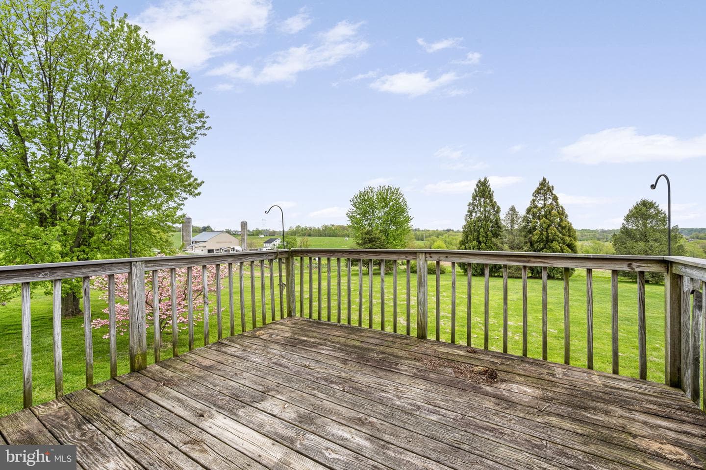 138 Bethel Road photo 19