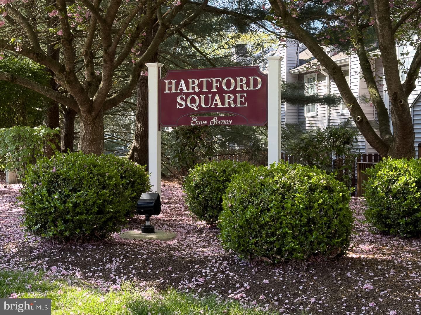 407 Hartford Square #50 photo 58