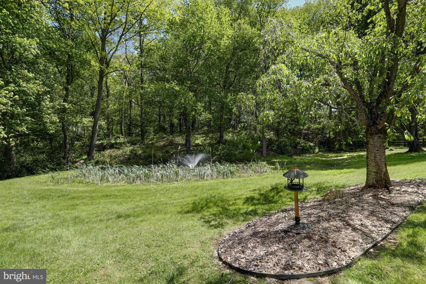 199 Sunnyside Road photo 5