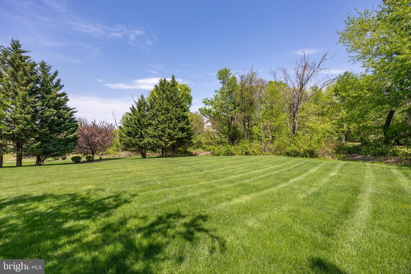 1345 Wooded Knolls photo 52