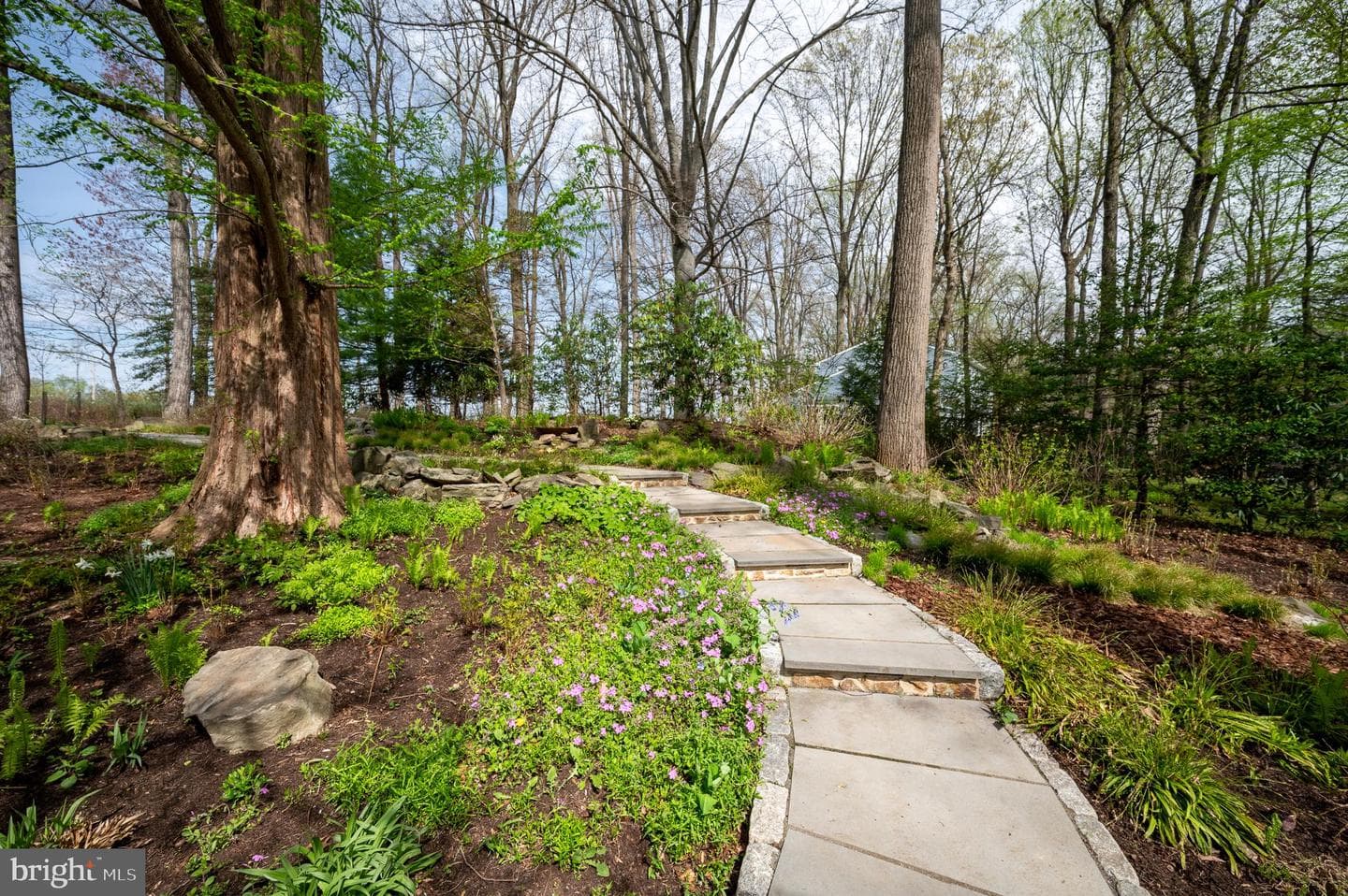 1205 Scott Road photo 54