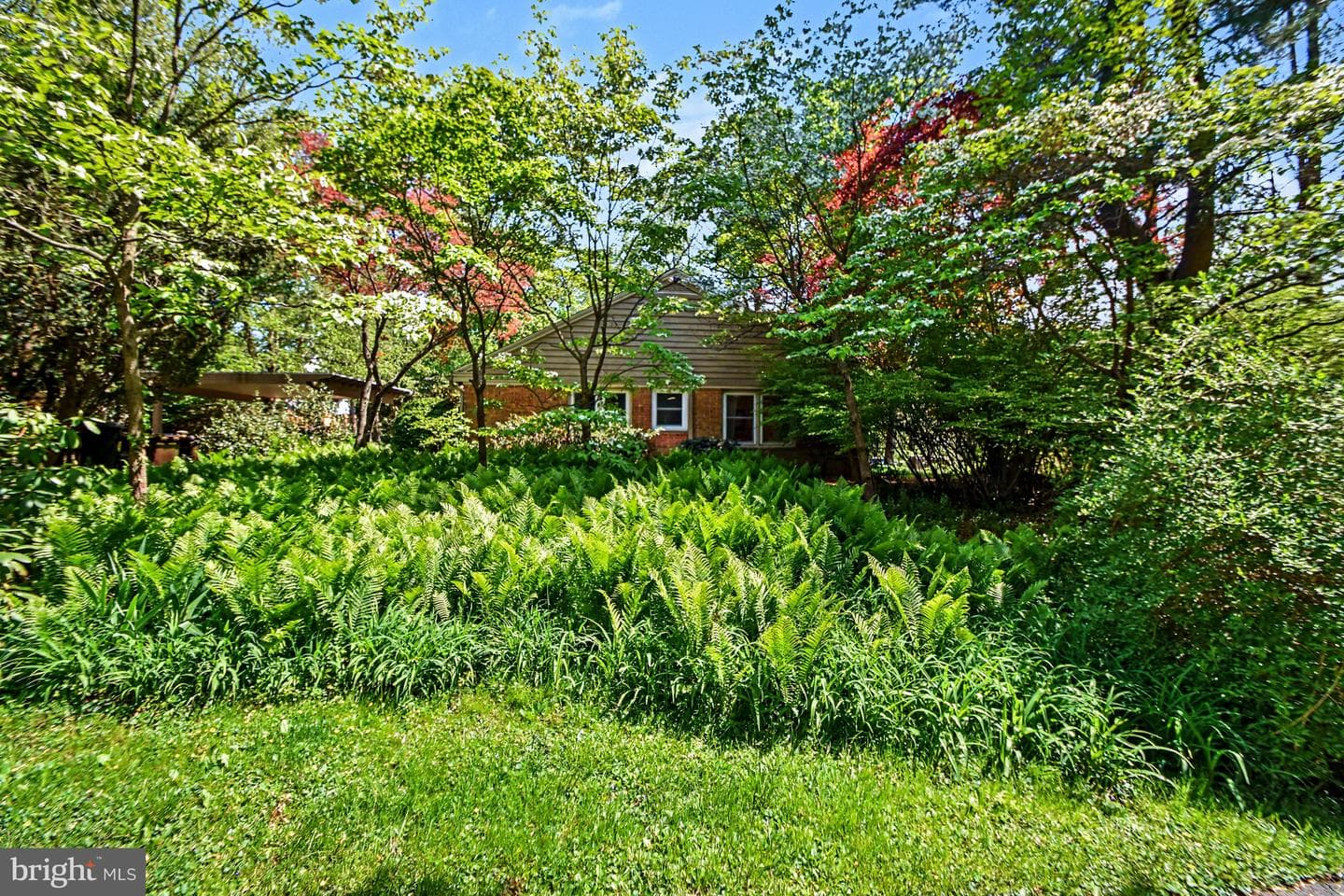 1313 Dorothy Avenue photo 32