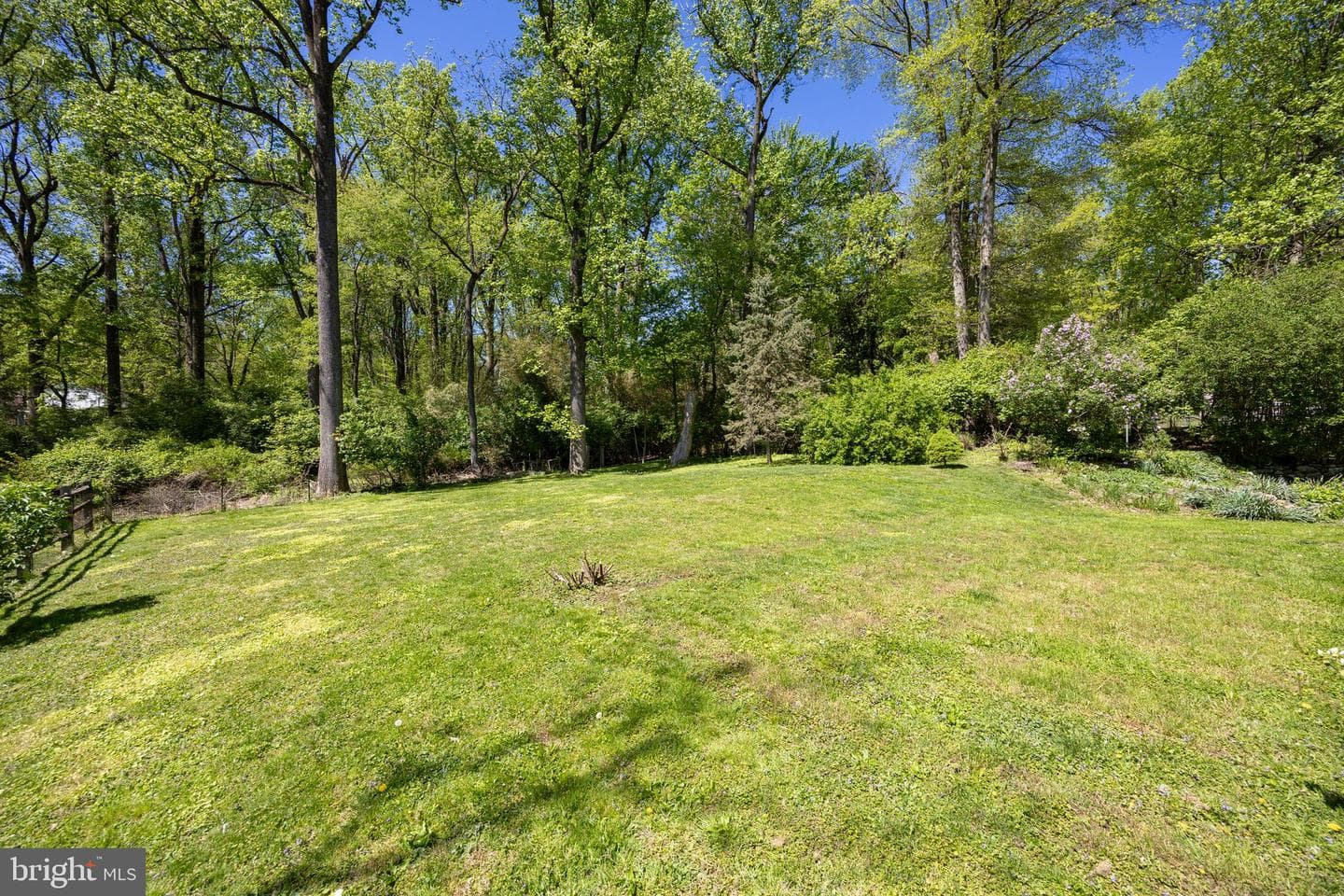 432 Concord Avenue photo 2
