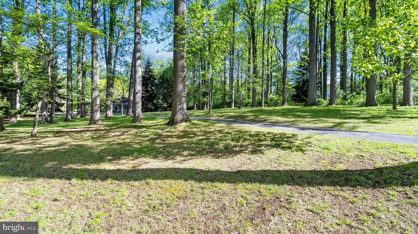 501 Webb Road photo 14