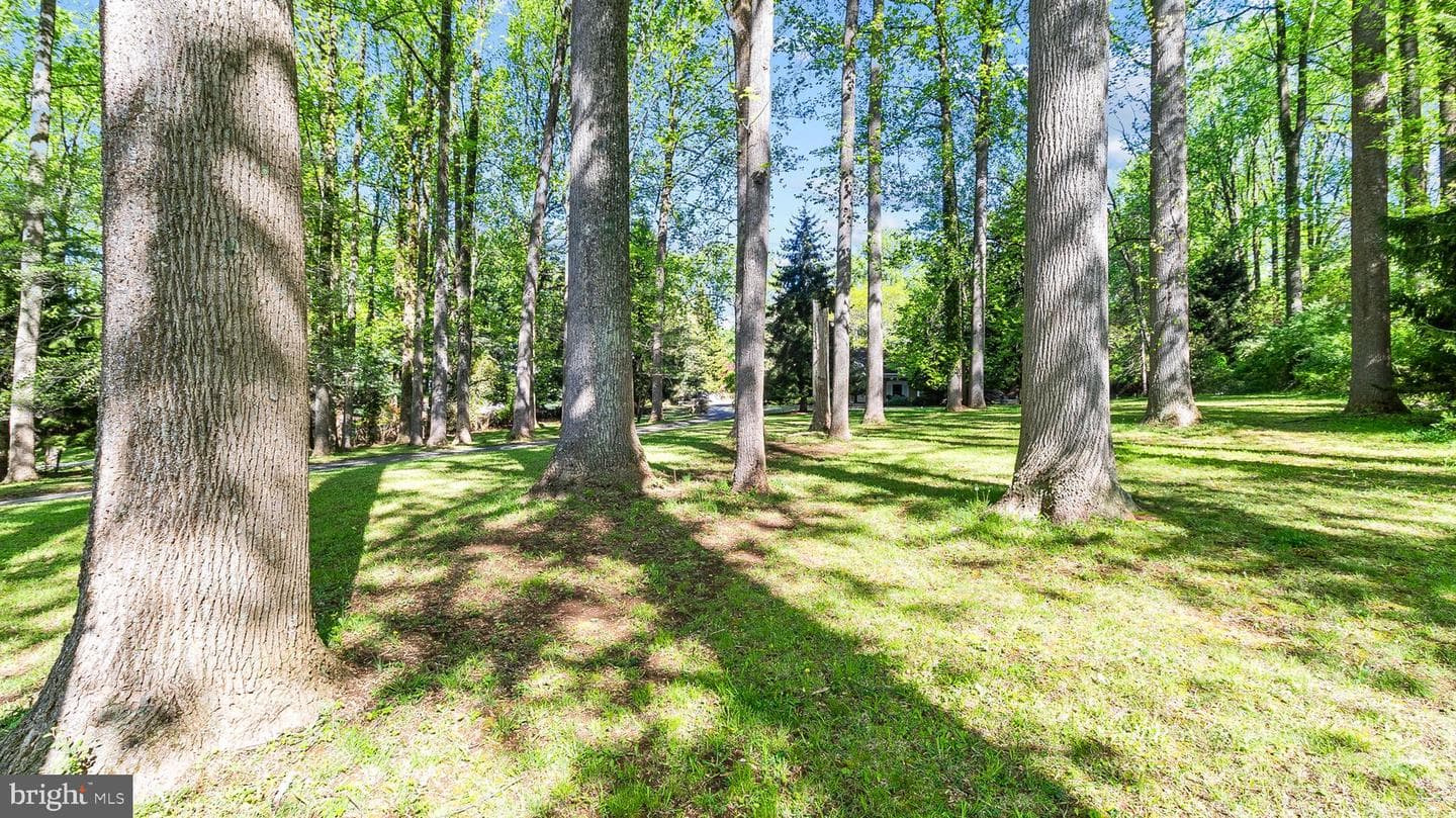 501 Webb Road photo 15