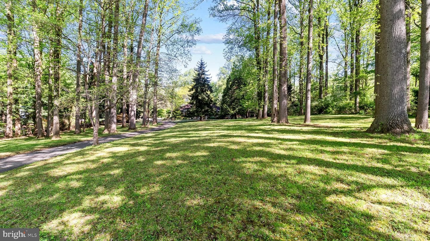 501 Webb Road photo 4