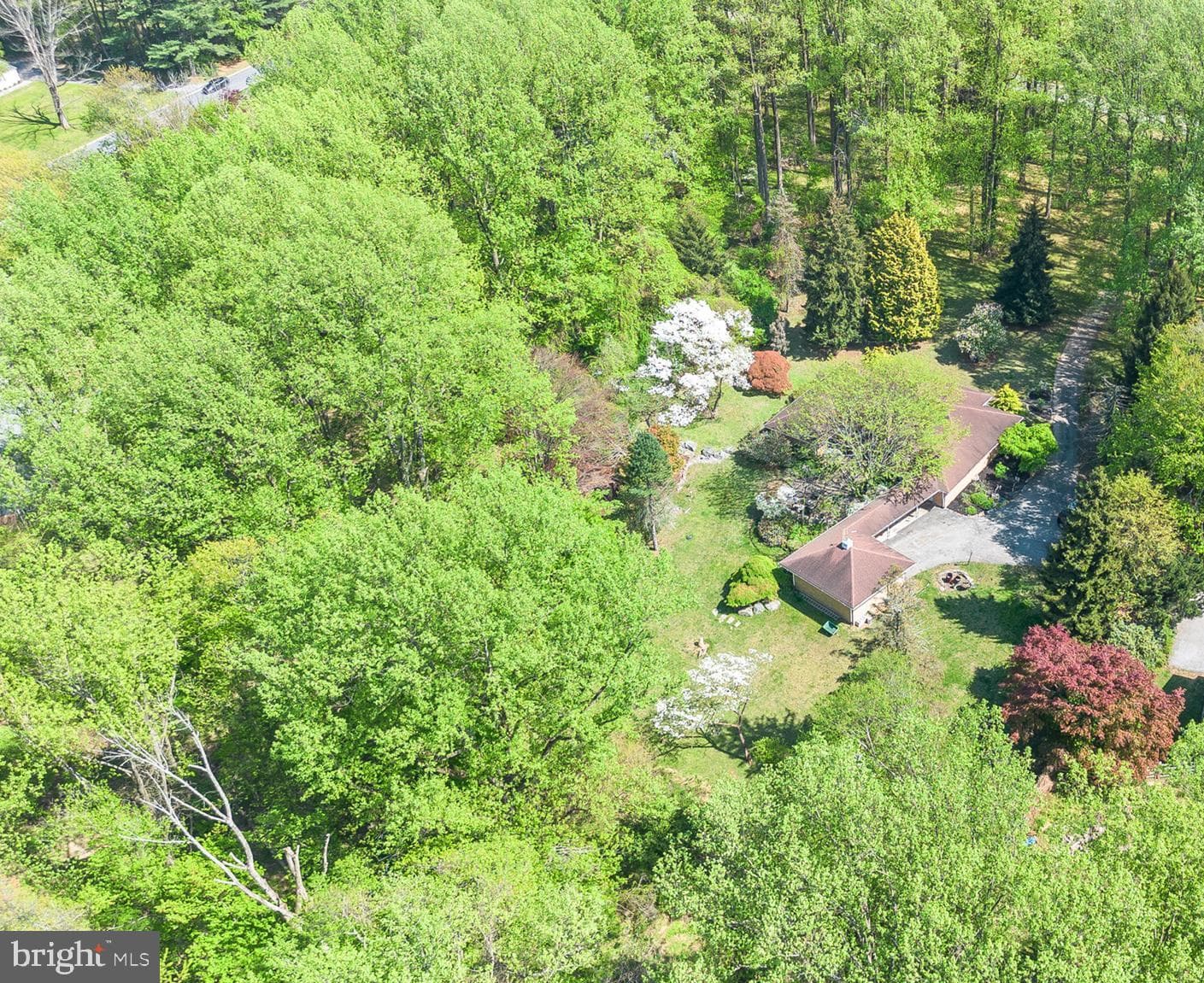 501 Webb Road photo 9
