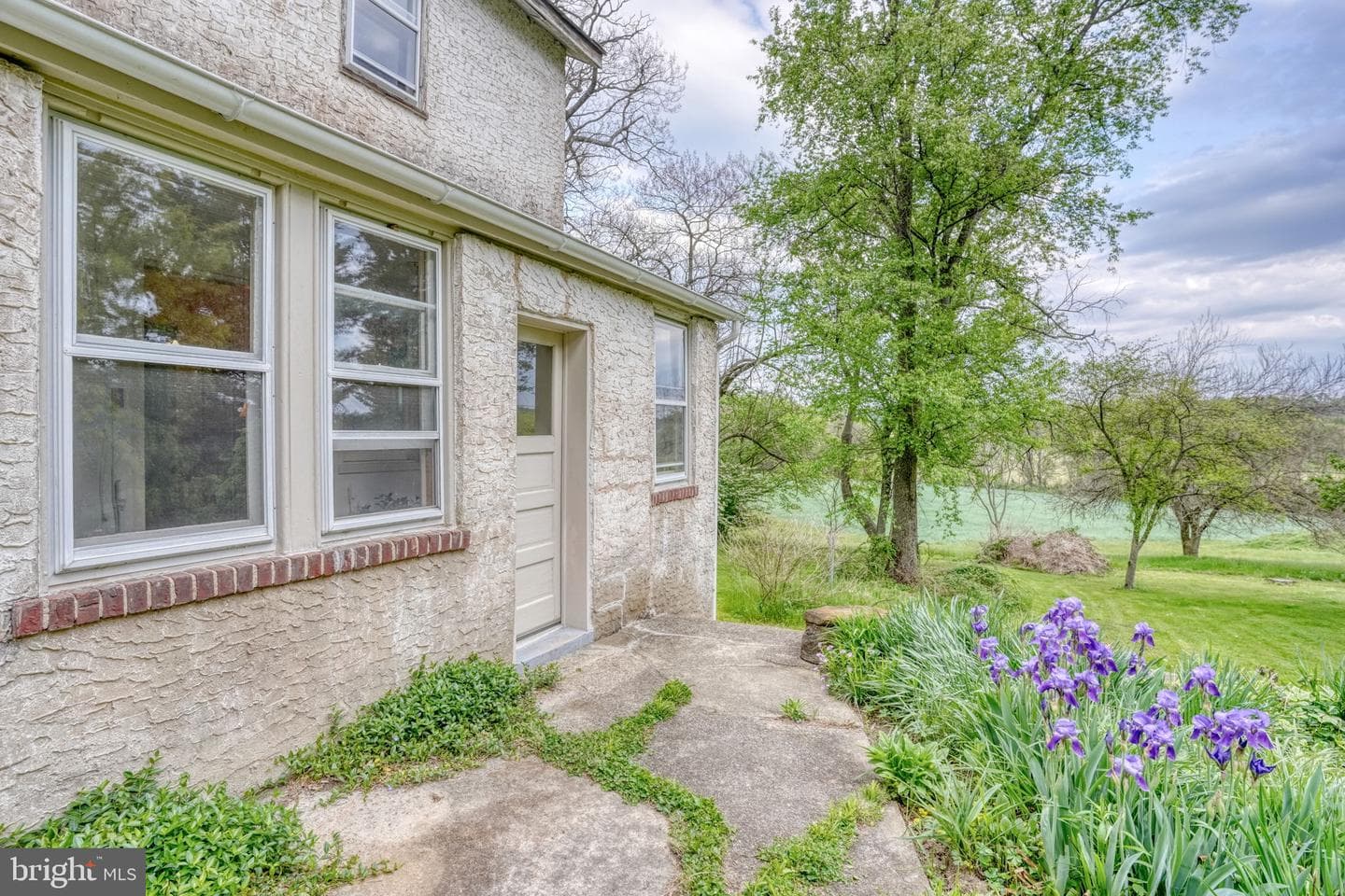255 Buttonwood Road photo 6