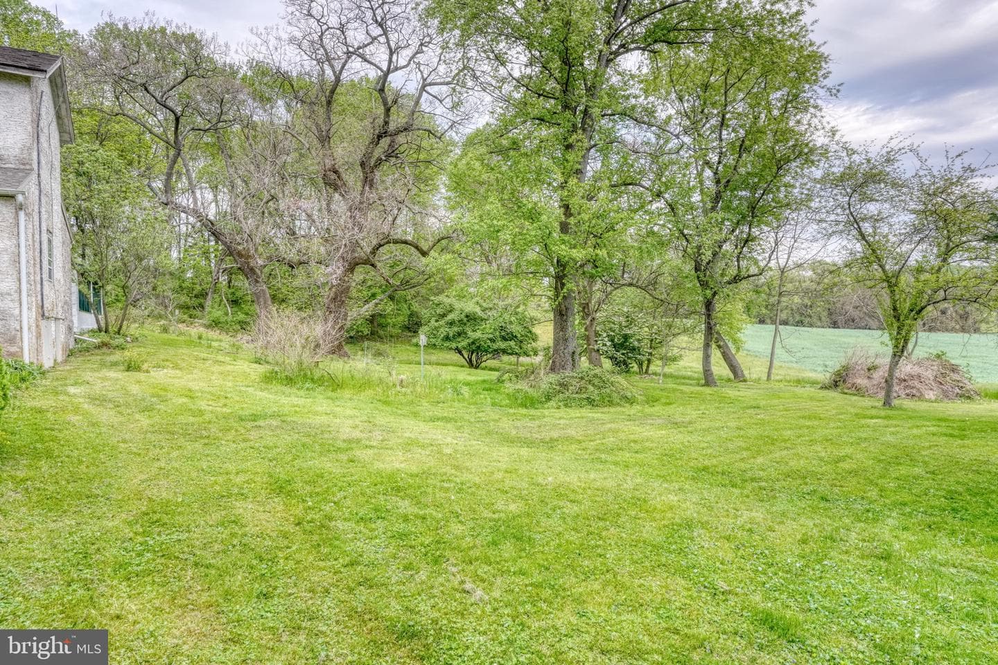 255 Buttonwood Road photo 7