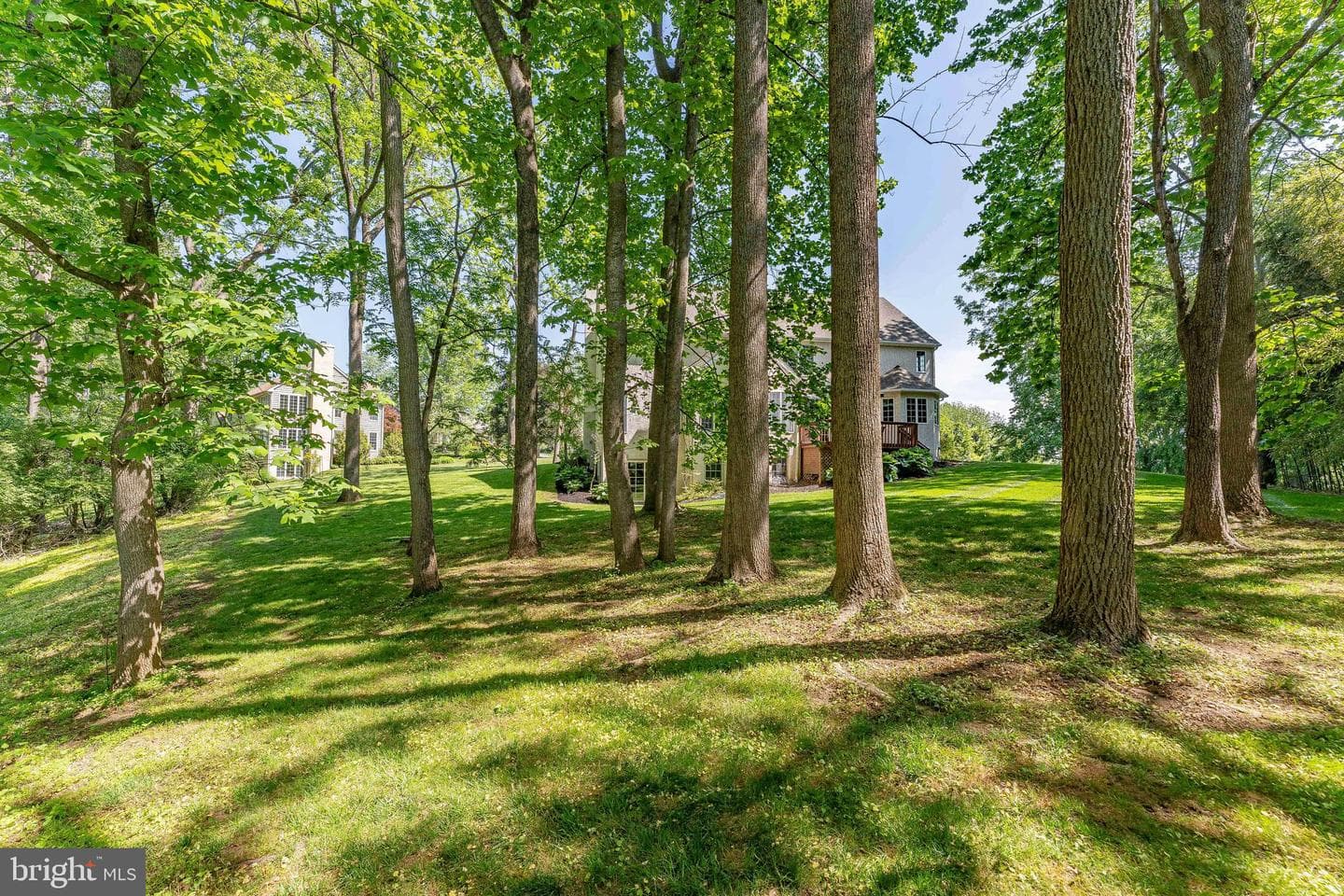 936 Kilduff Circle photo 61
