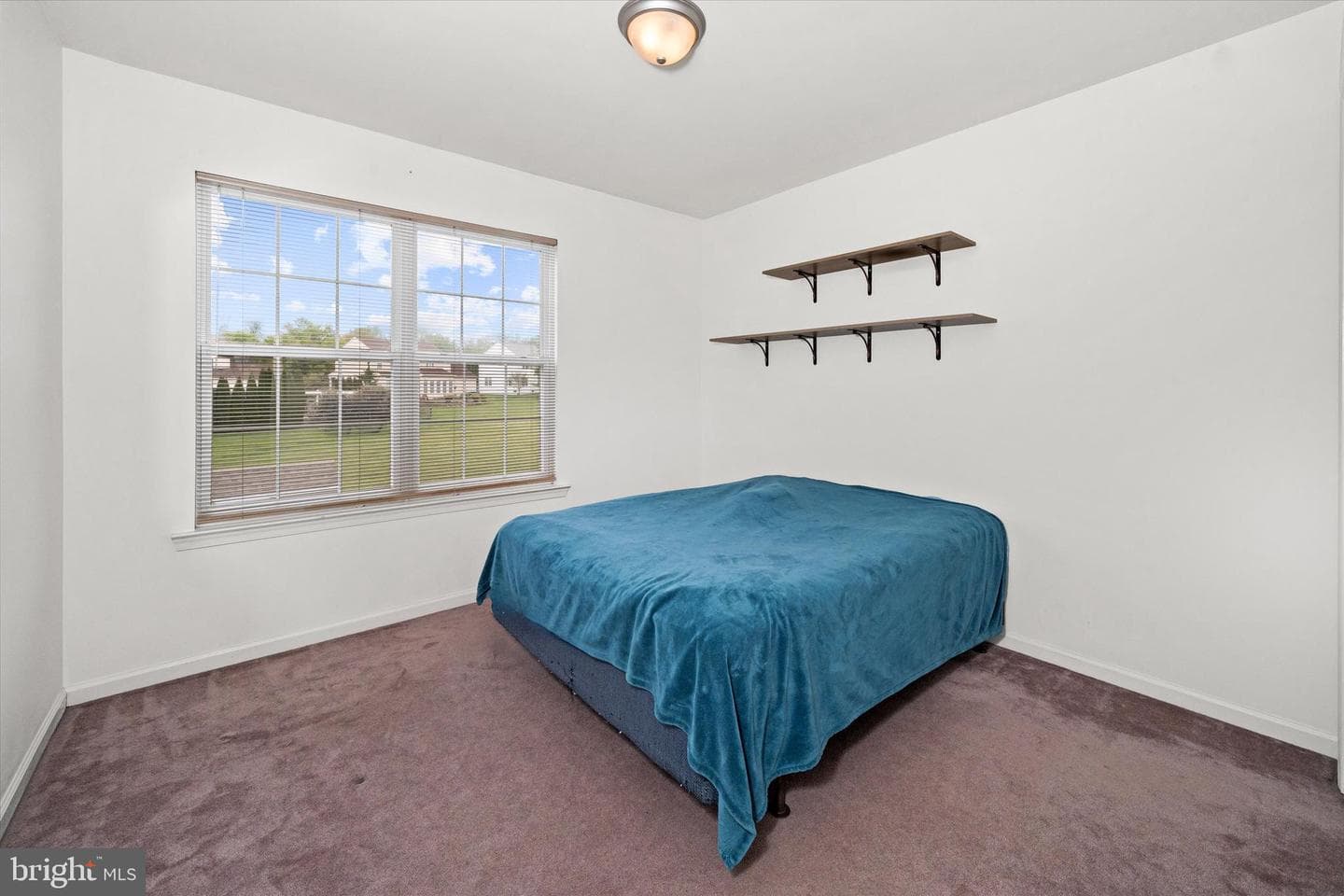 17 Allsmeer Drive photo 40