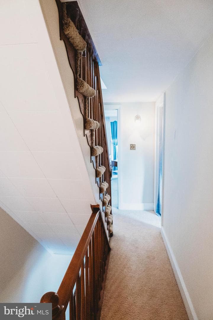 151 Walnut Street photo 21