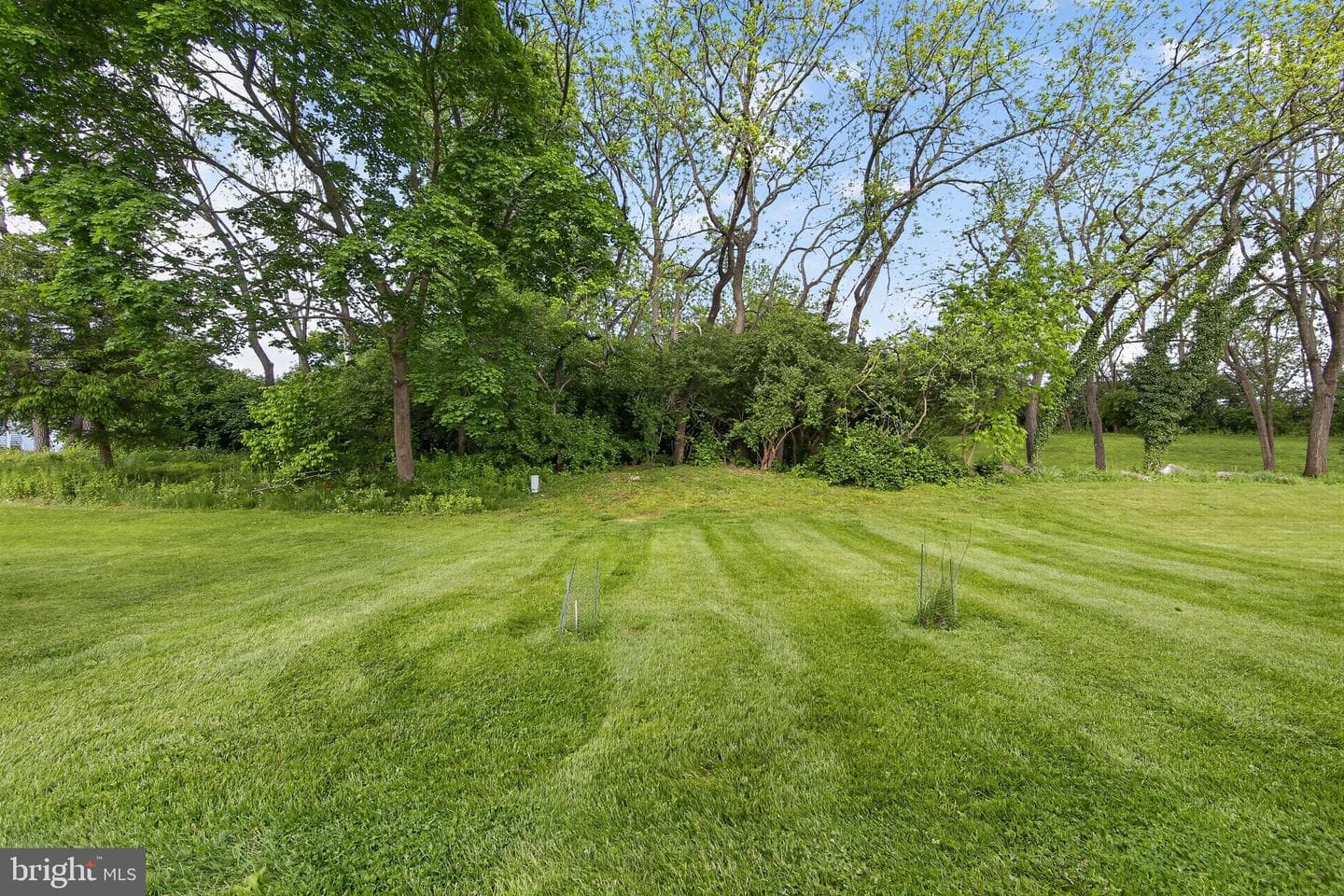 192 Plaza Drive photo 30