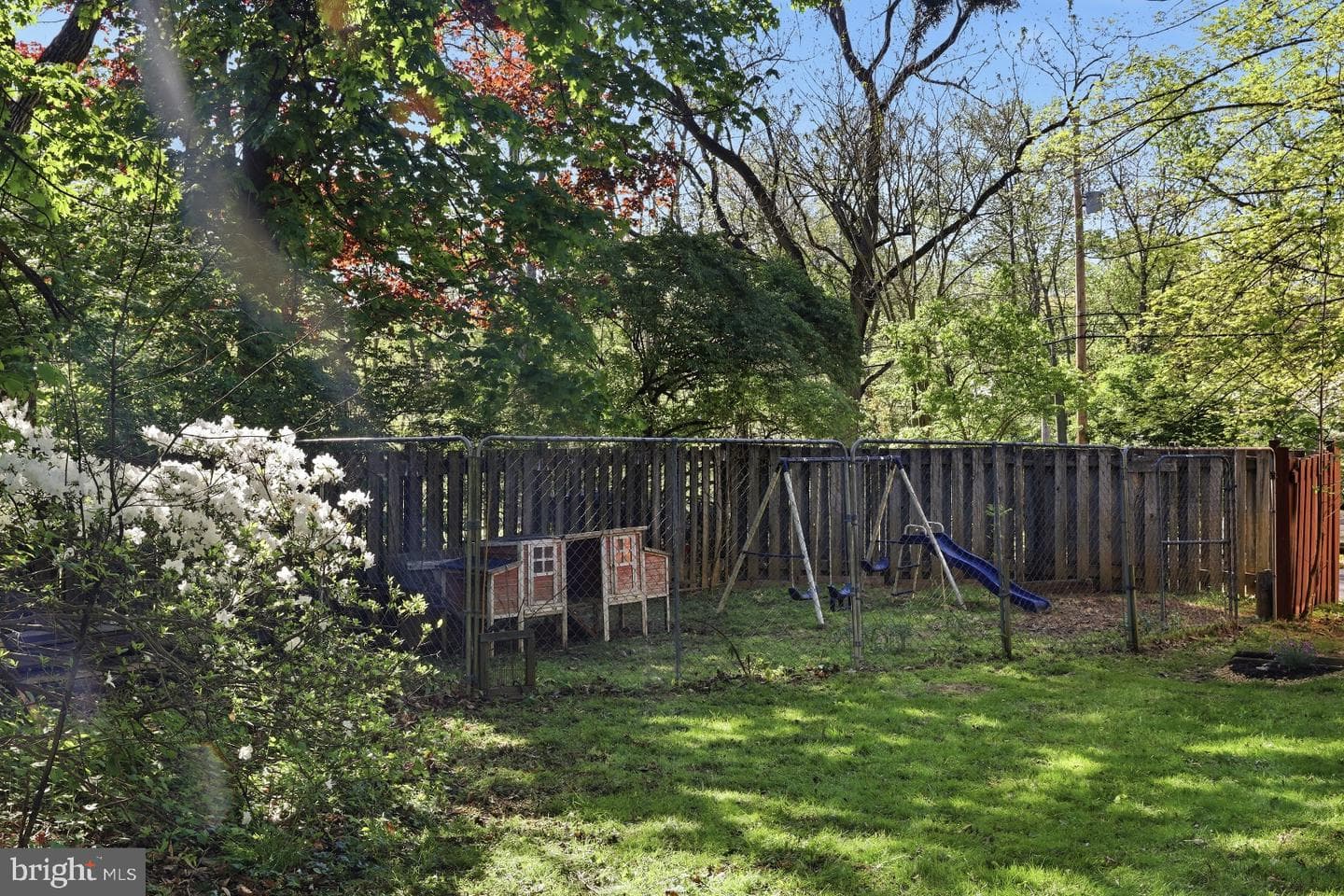 854 Burrows Run Road photo 19