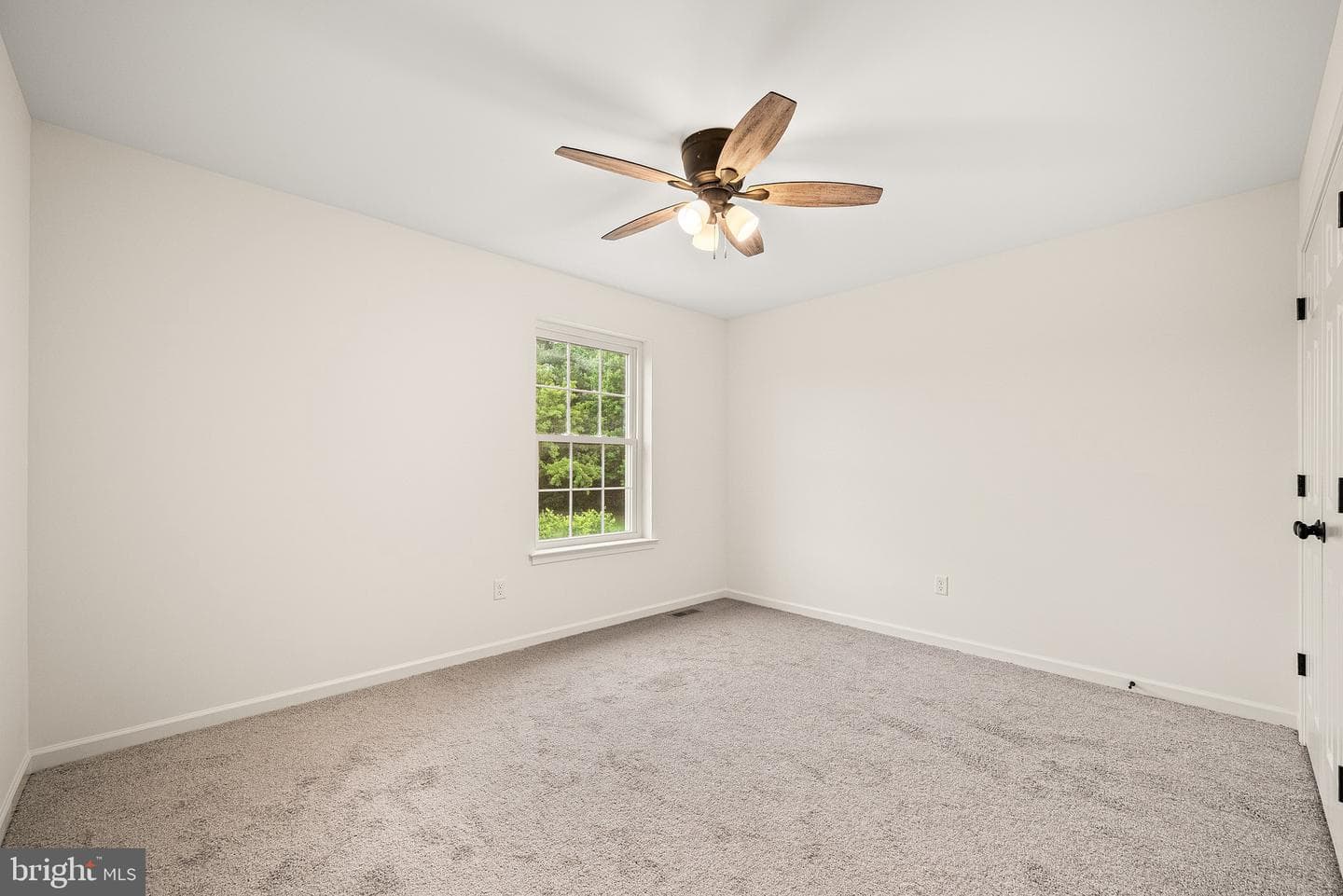 Wickmere St #b (Cortland) photo 20