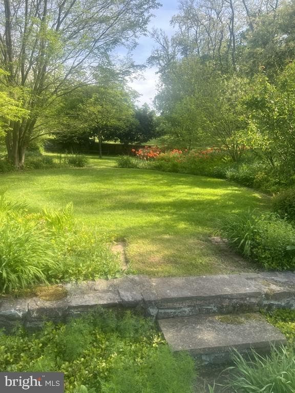 818 Burrows Run Road photo 65