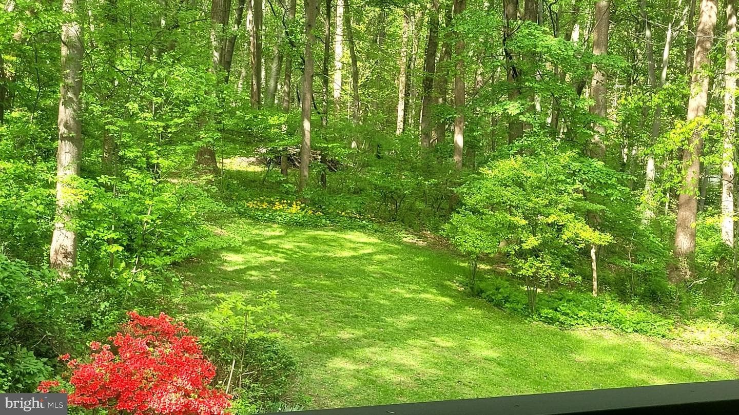 8 Adams Way photo 43