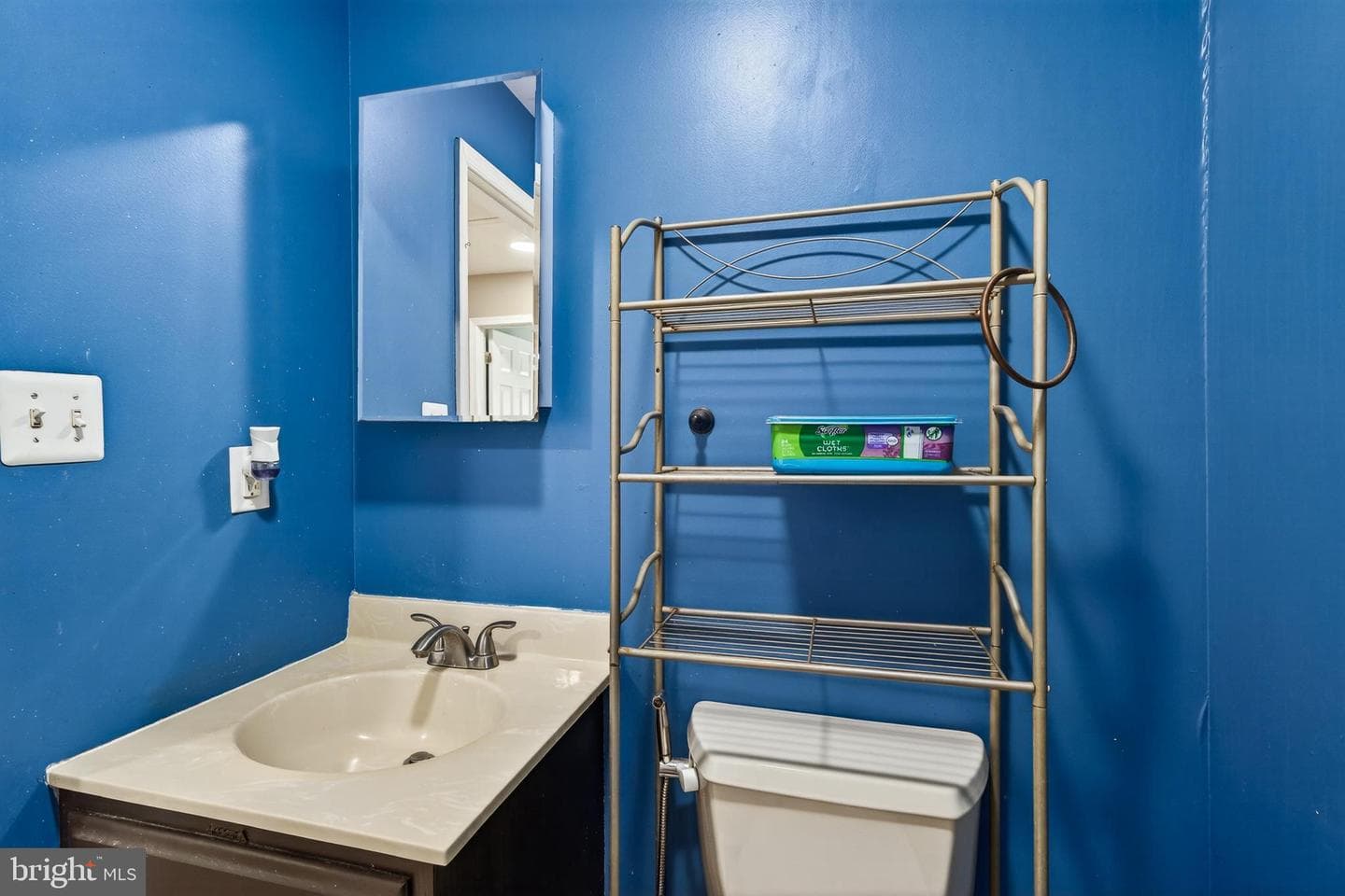 419 Holly Tree Court photo 25