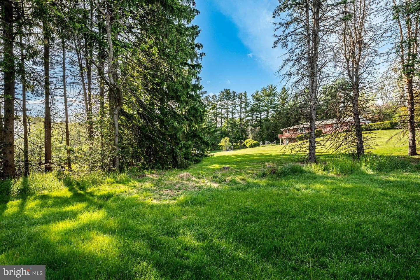 419 Holly Tree Court photo 40
