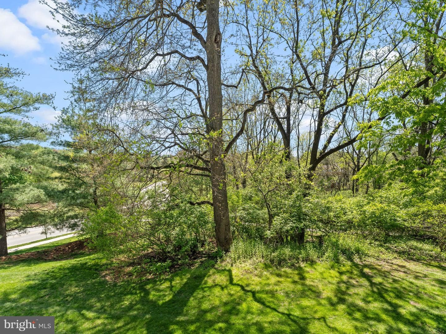 1063 Harriman Court #3 photo 28