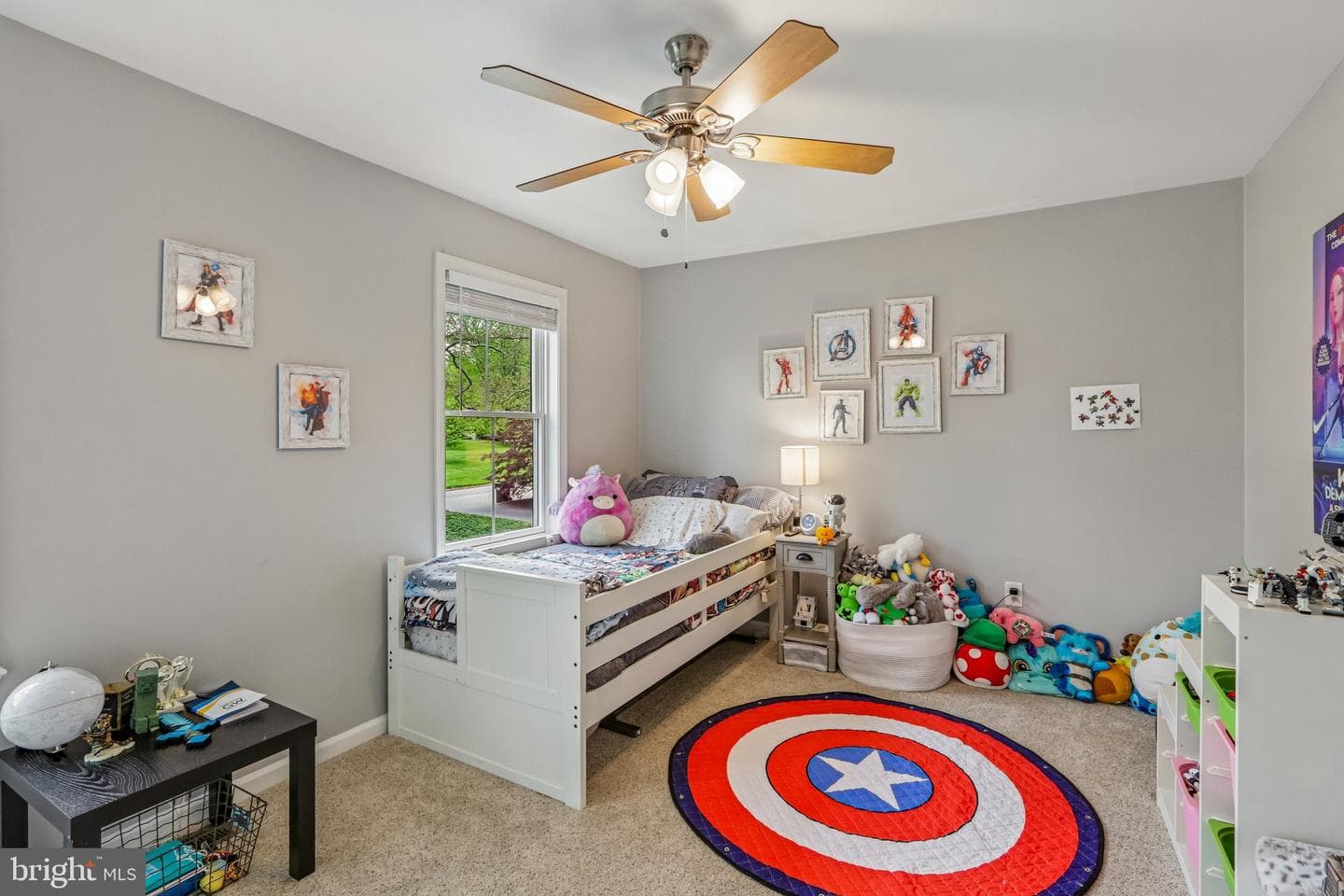 667 Colonel Dewees Road photo 43