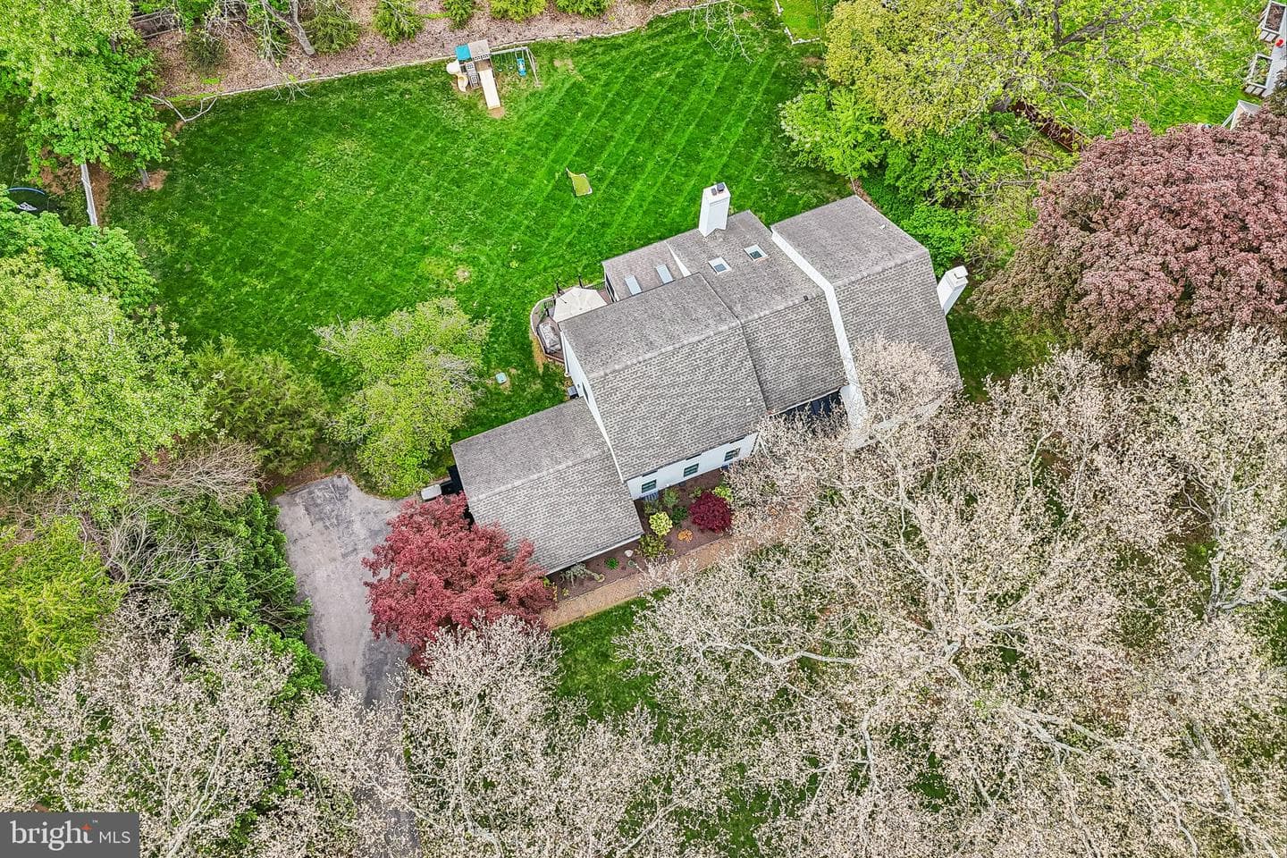 667 Colonel Dewees Road photo 61