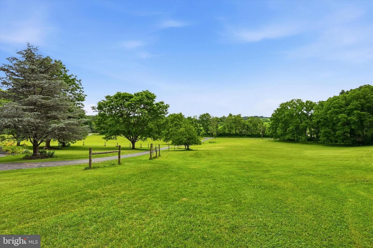 241 Glenrose Road photo 13