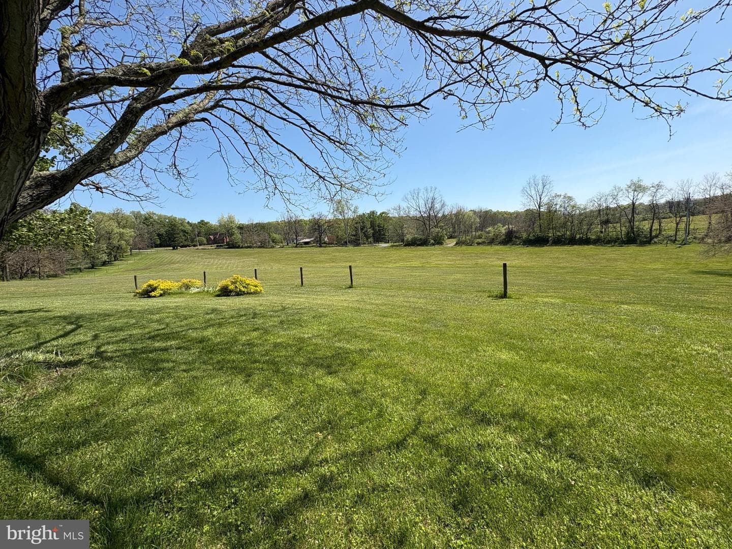 241 Glenrose Road photo 4