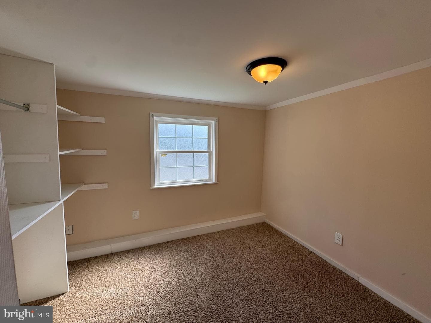 41 Dillan Drive photo 21