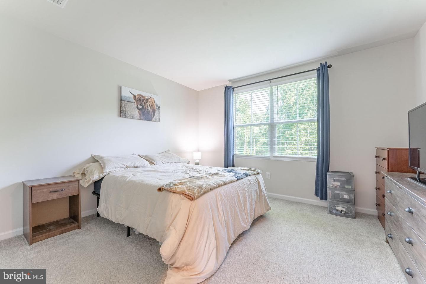 235 Hamilton Lane photo 23
