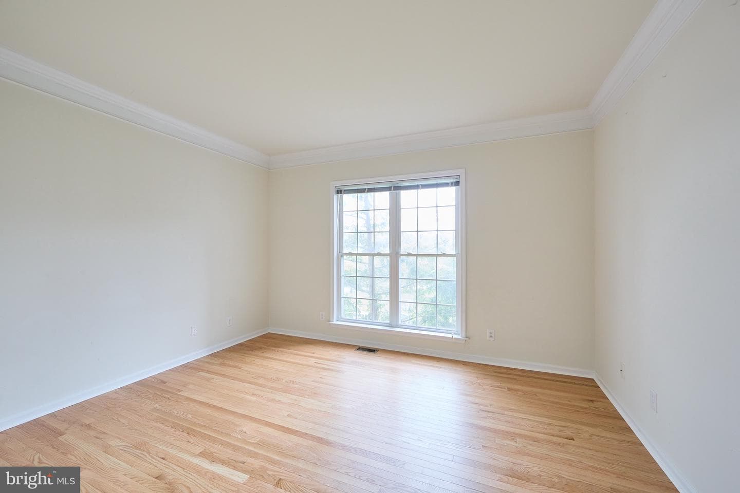 184 Magnolia Drive photo 19