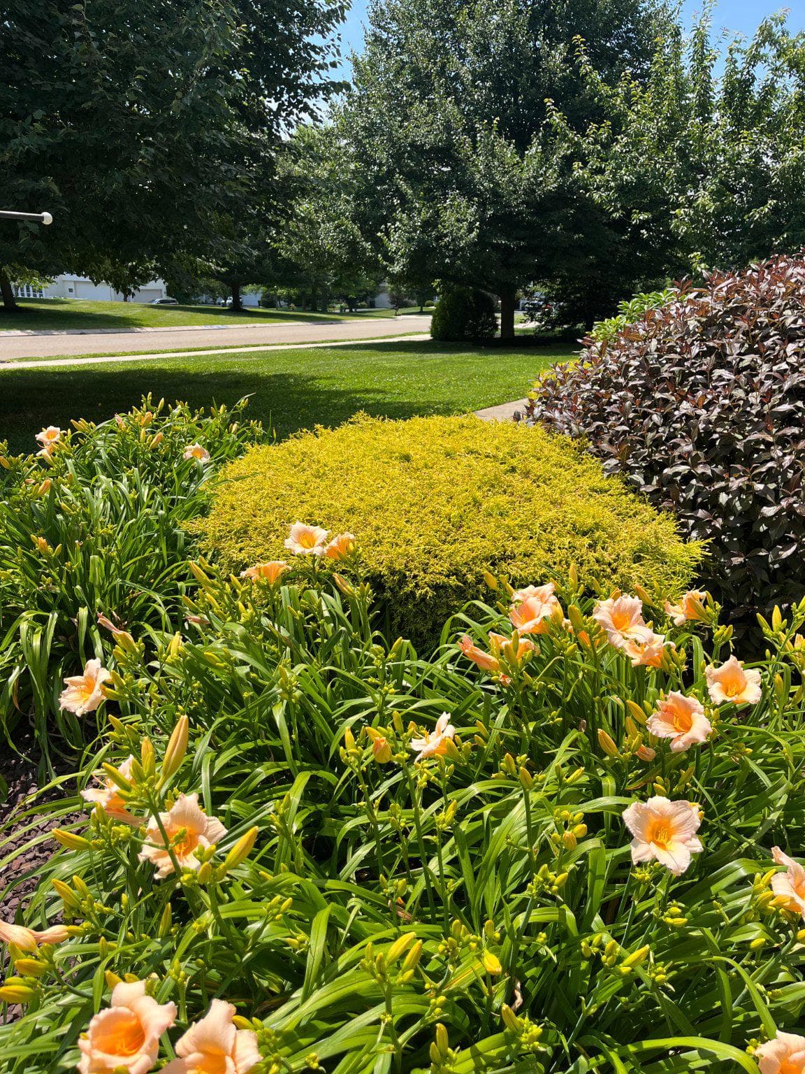 126 Hemlock Drive photo 46