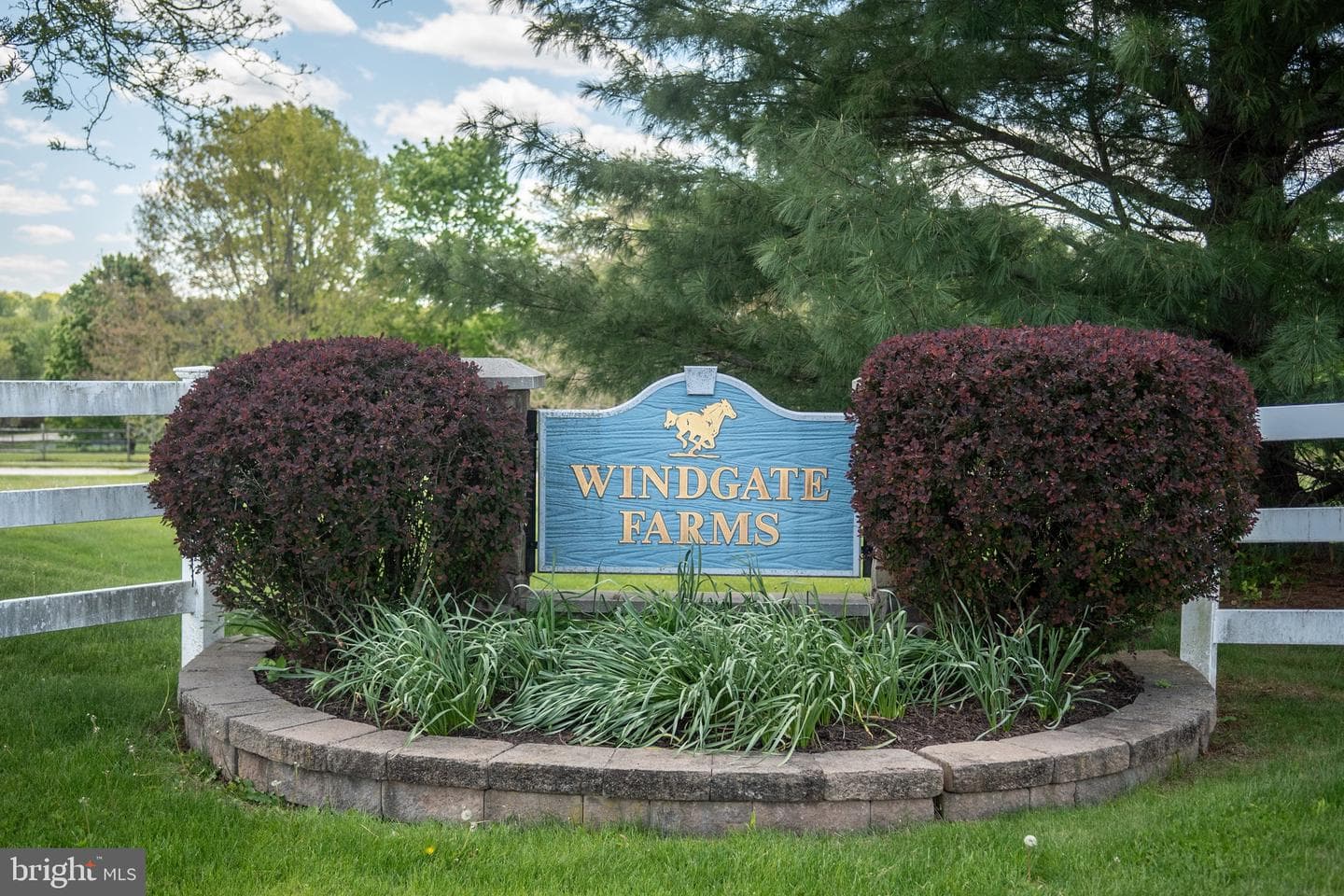 208 Belgian Drive photo 5
