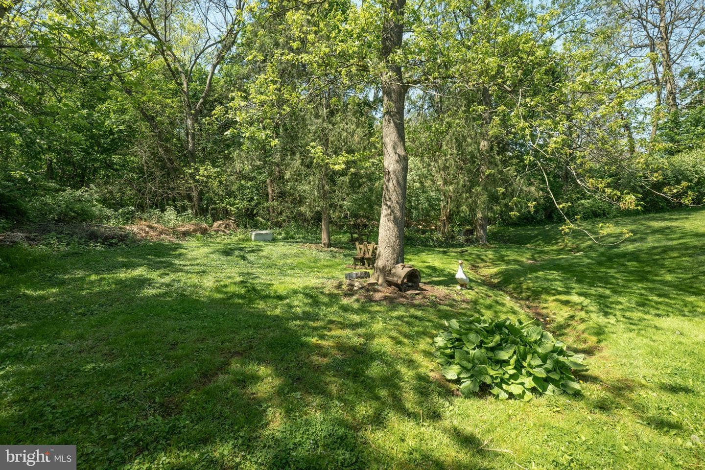 233 Poplar Street photo 11