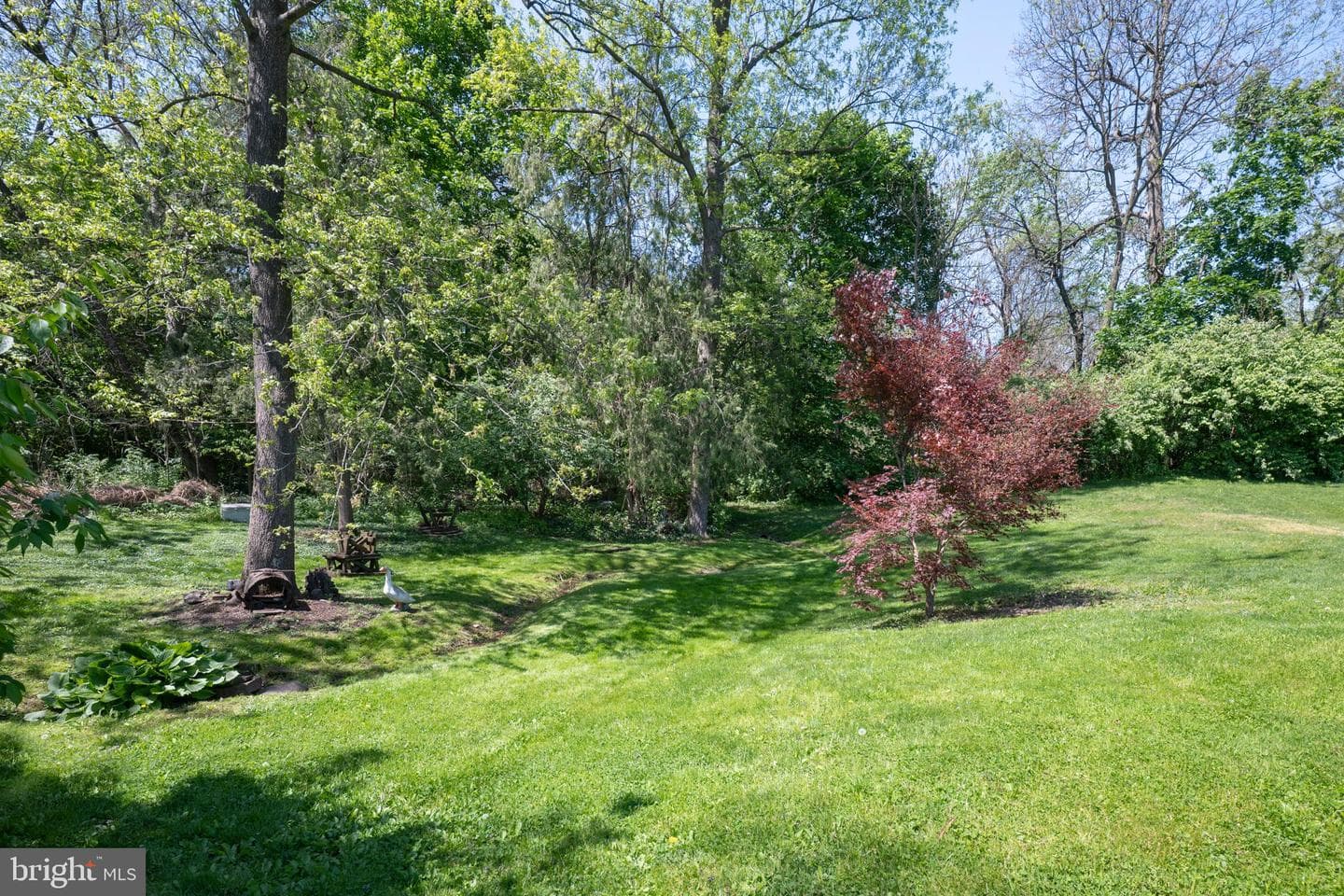 233 Poplar Street photo 12