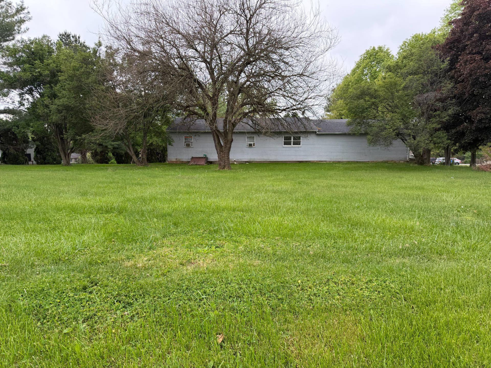 548 Wacousta Road photo 4