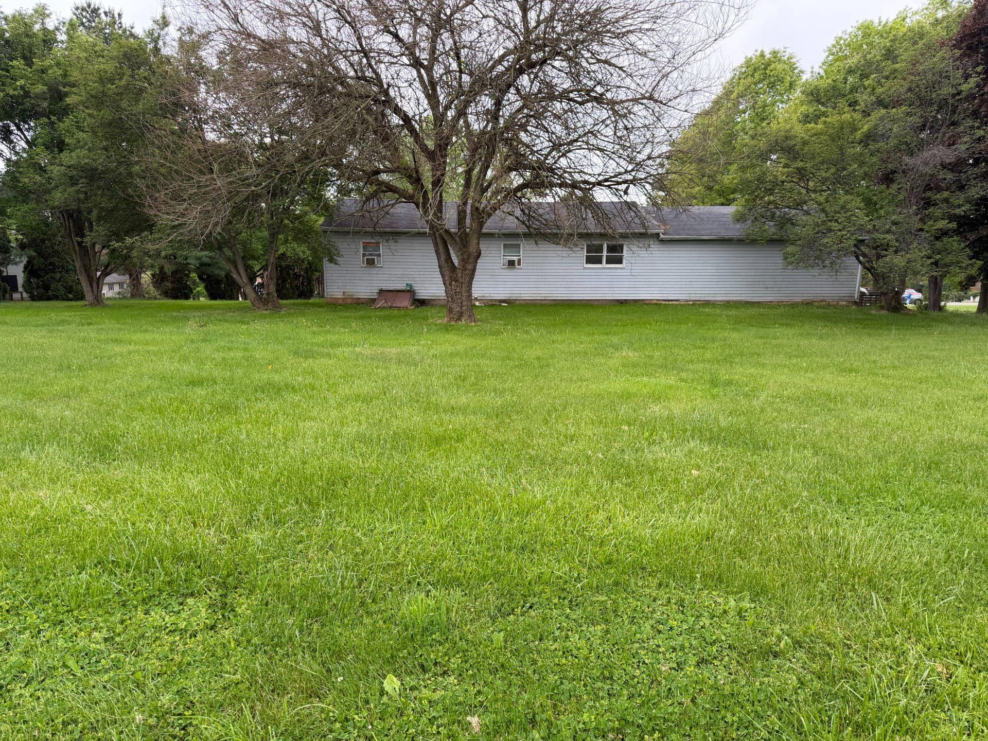 548 Wacousta Road photo 5