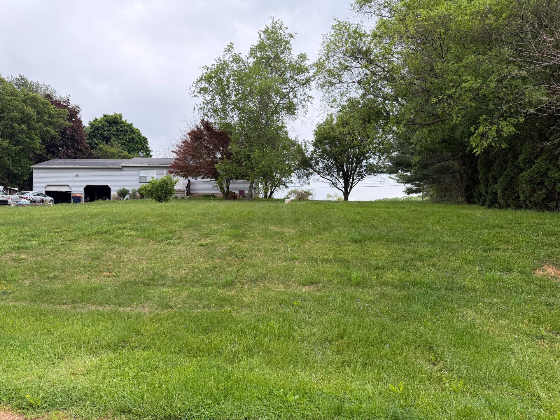 548 Wacousta Road photo 6
